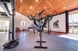 Muscle force studio 3