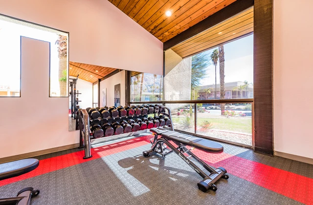 Muscle force studio 4